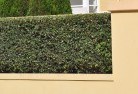 Chatham Valleyhard-landscaping-surfaces-8.jpg; ?>